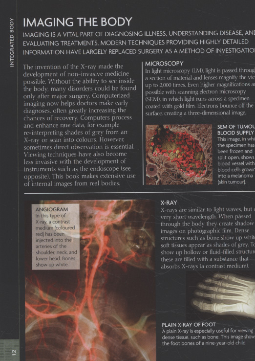 The concise human body book by DK (9781405340410) | BrownsBfS
