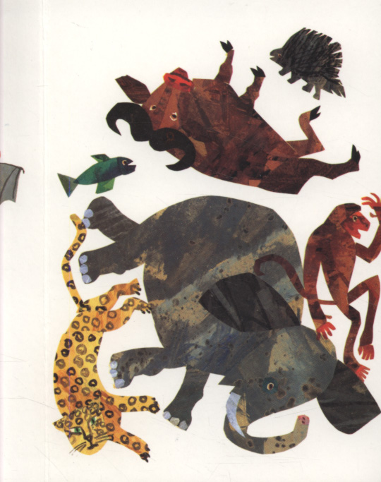 The greedy python by Carle, Eric (9781847386205) | BrownsBfS