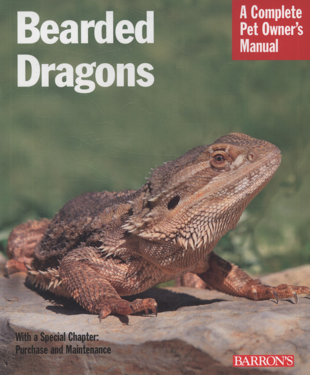 Bearded dragons everything about purchase, care, and nutrition by Au