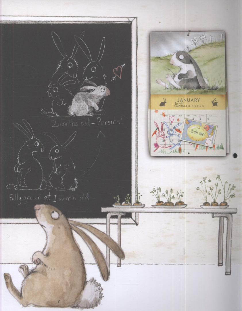 The Rabbit Problem by Gravett, Emily (9780330503976) | Browns Books