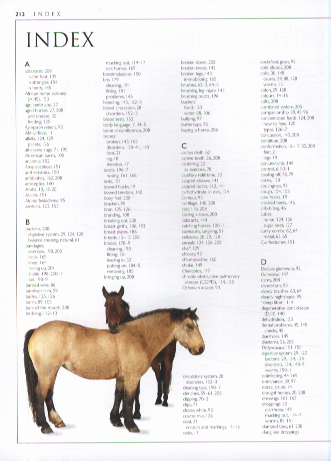 Complete horse care manual by Vogel, Colin (9781405362771) BrownsBfS