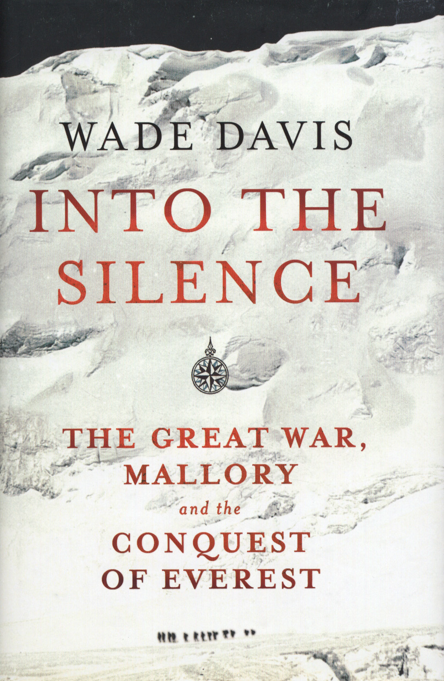 Into The Silence by Davis, Wade (9781847921840) | Browns Books