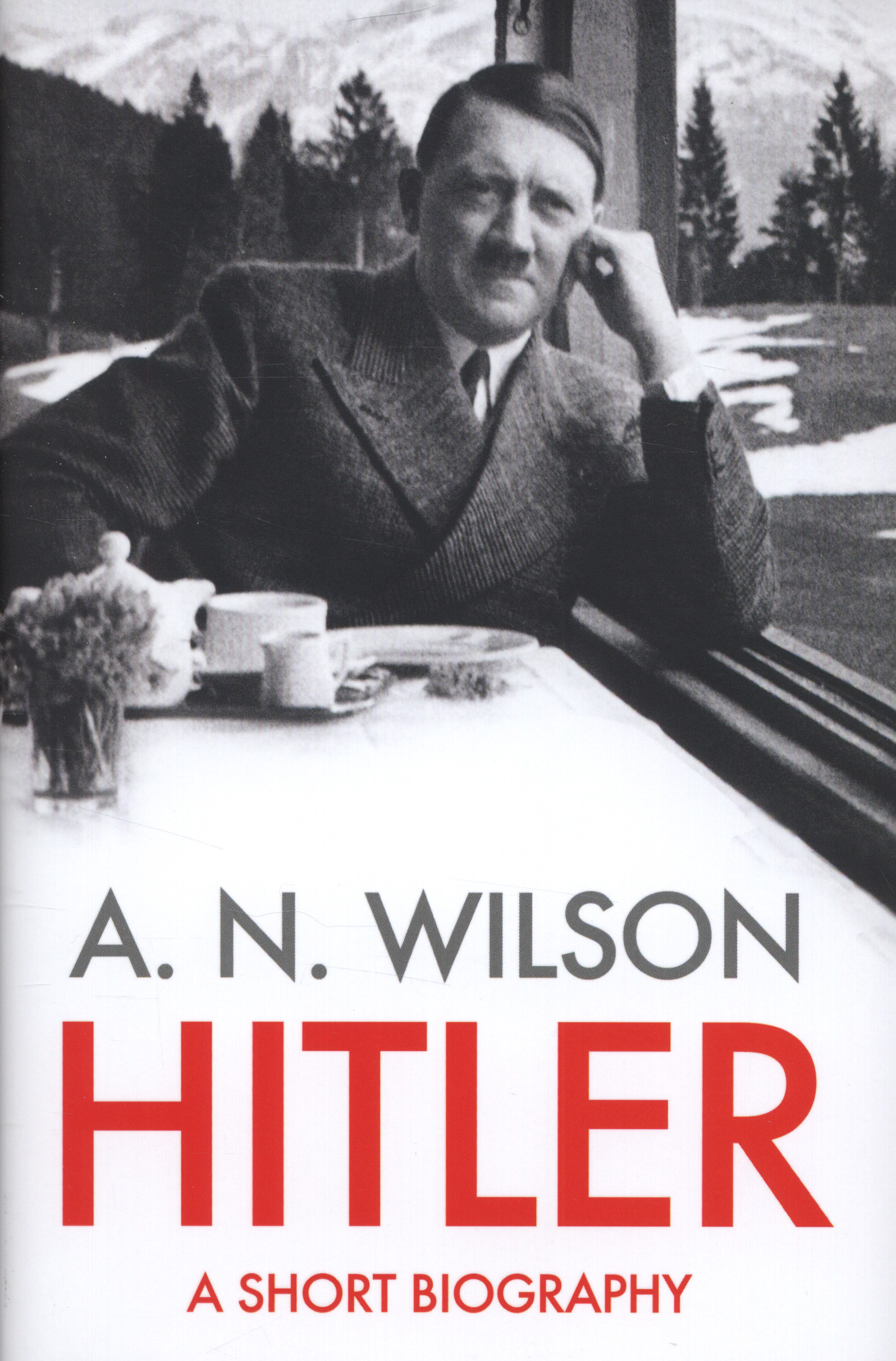 Hitler a short biography by Wilson, A. N. (9780007413492) BrownsBfS
