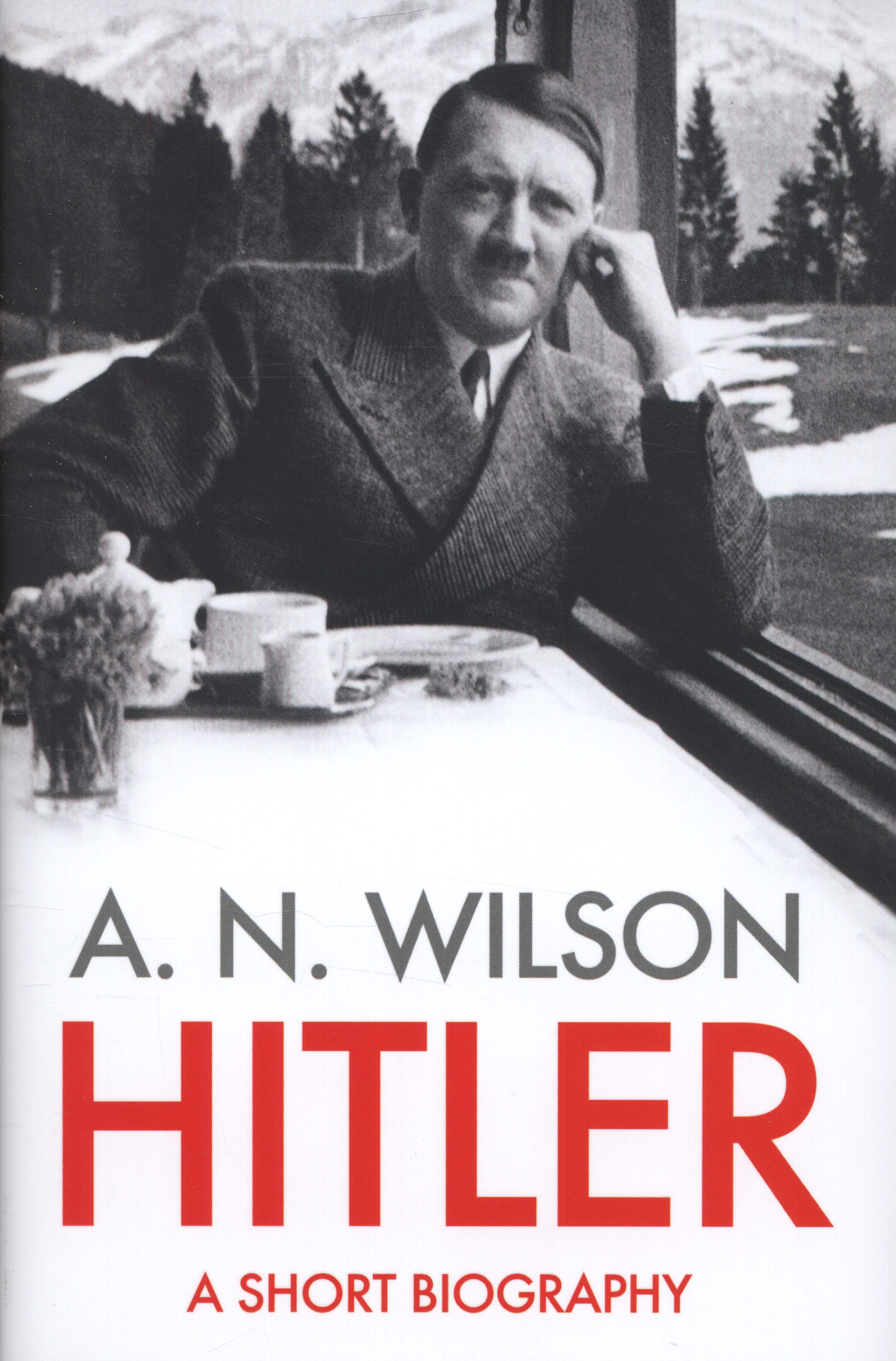a hitler biography
