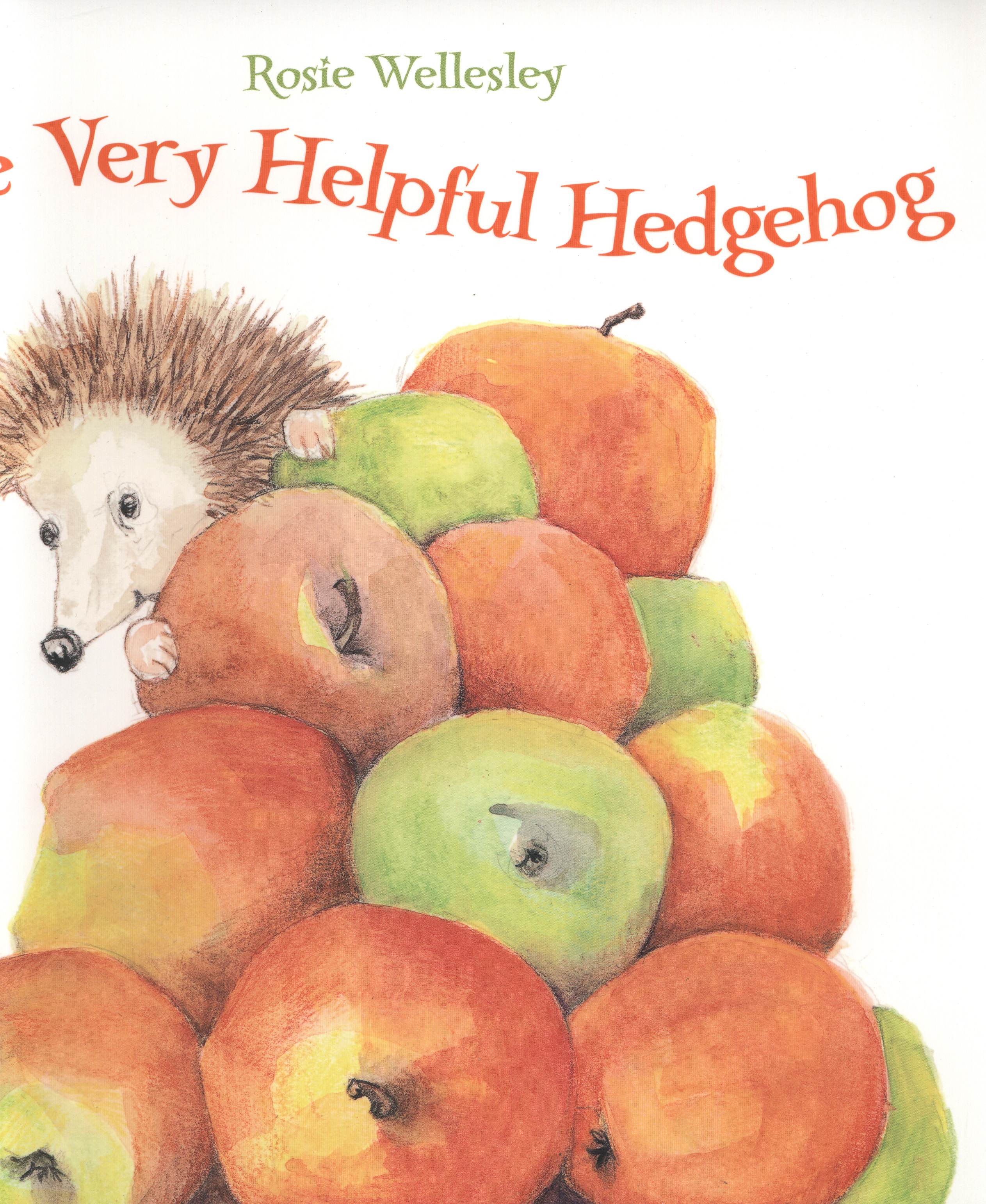 The very helpful hedgehog by Wellesley, Rosie (9781843651987) BrownsBfS