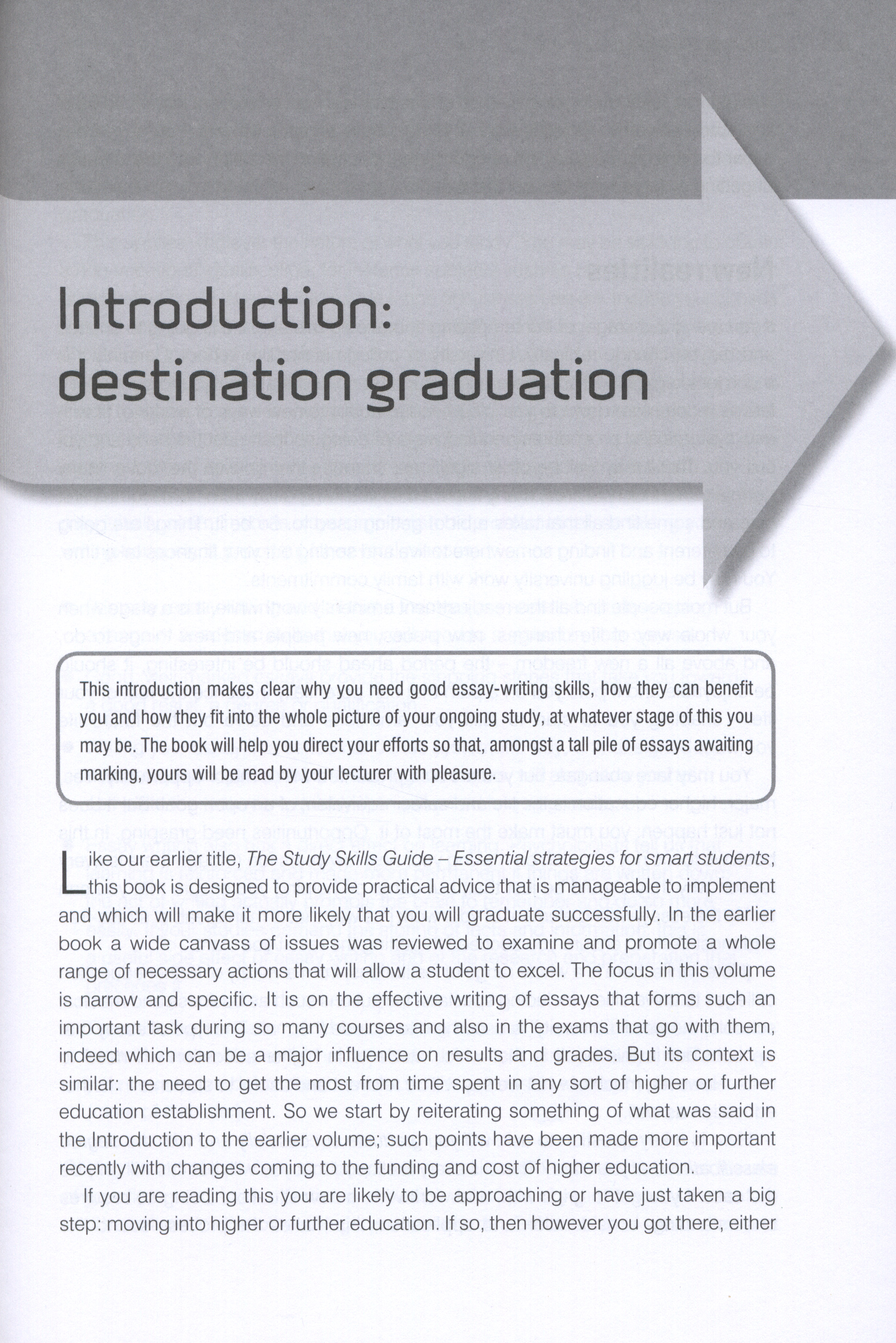 Essay writing essentials picture