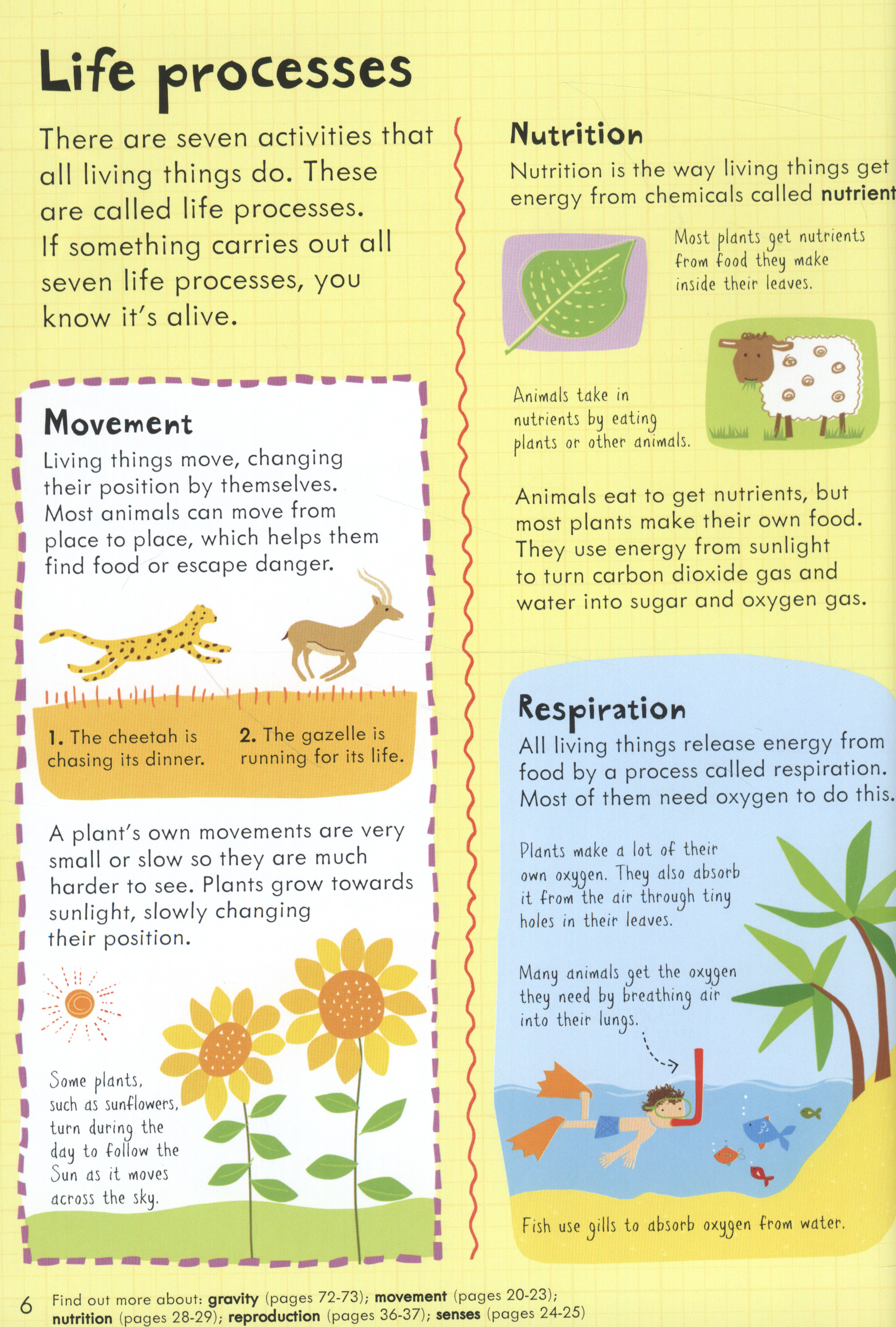 Usborne junior illustrated science dictionary by Gillespie, Lisa (9781409524328) BrownsBfS