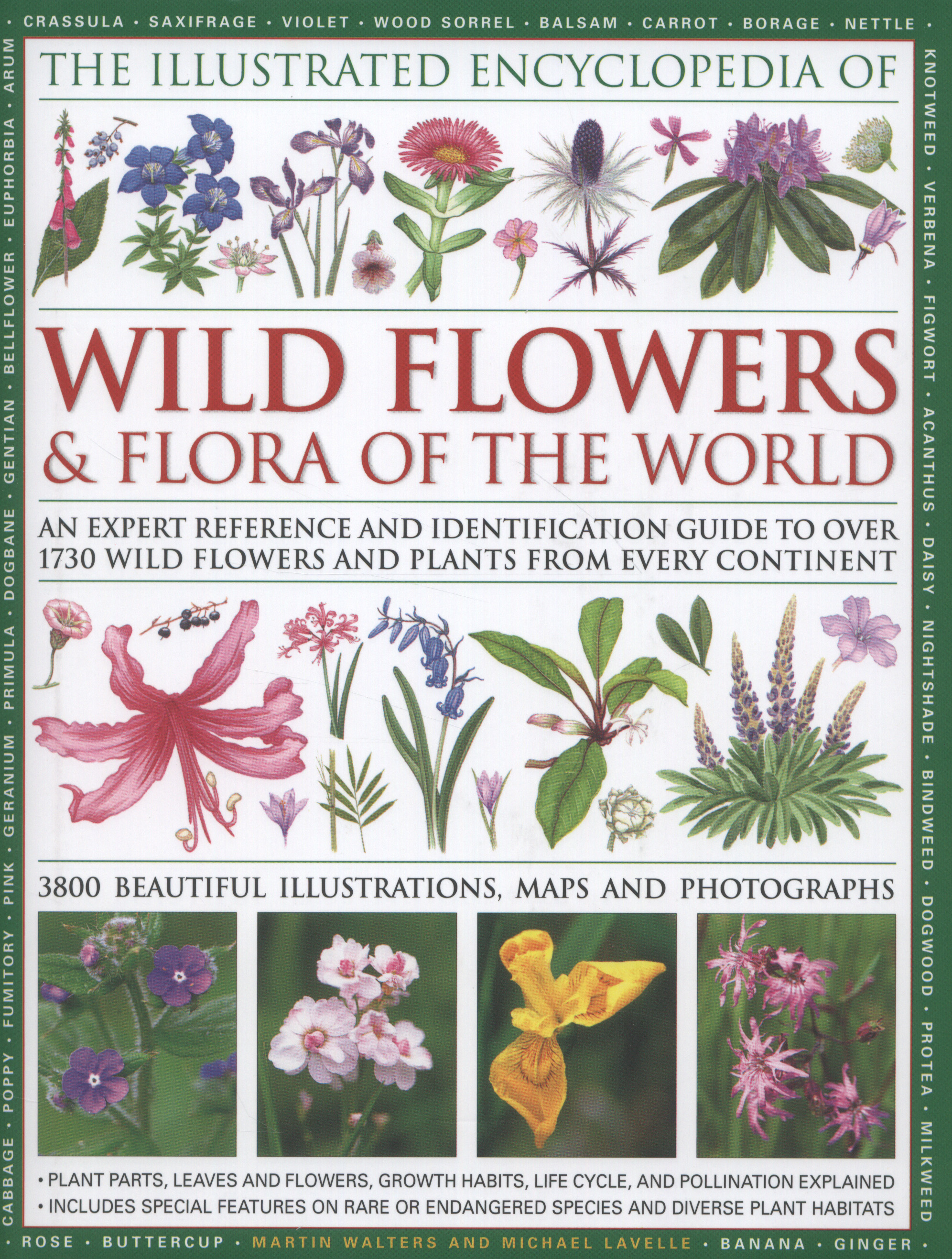 The illustrated encyclopedia of wild flowers