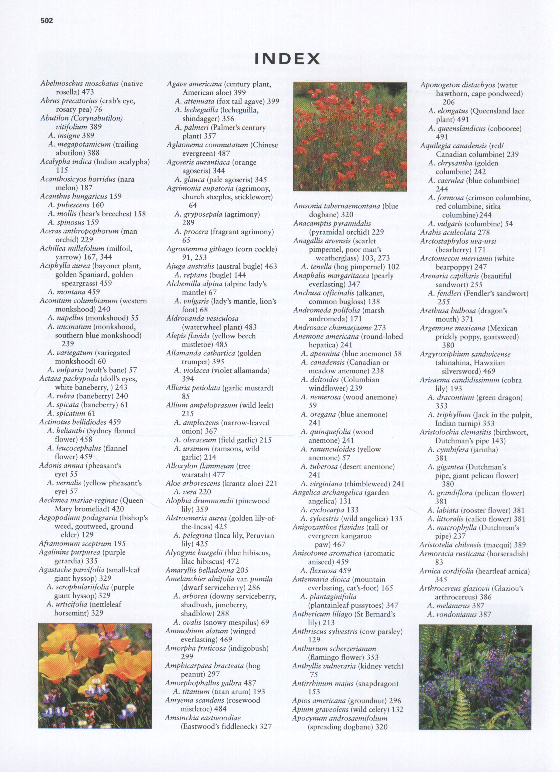 The illustrated encyclopedia of wild flowers & flora of the world an