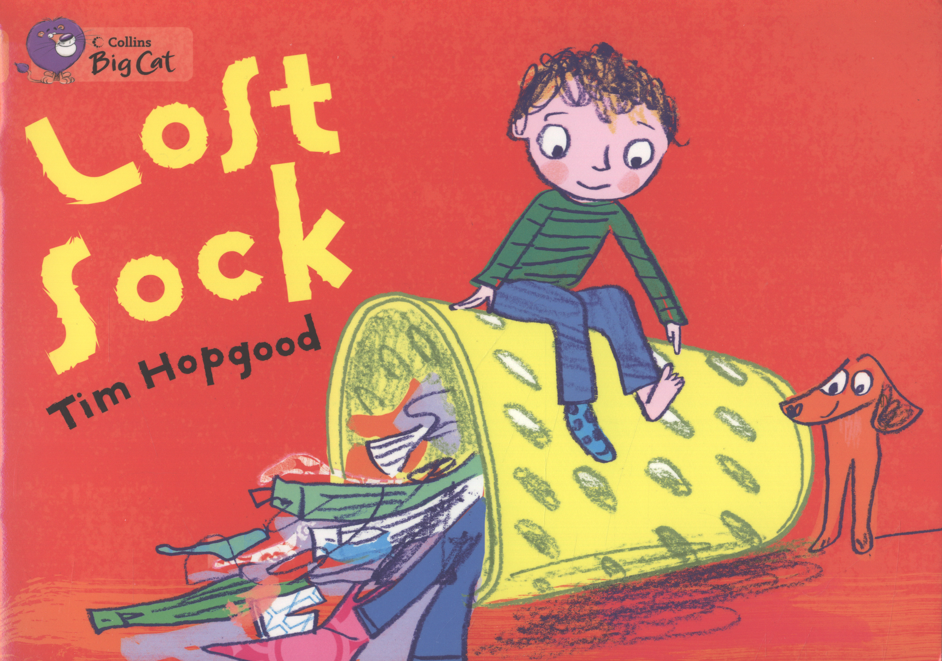 Lost sock by Hopgood, Tim (9780007461899) BrownsBfS