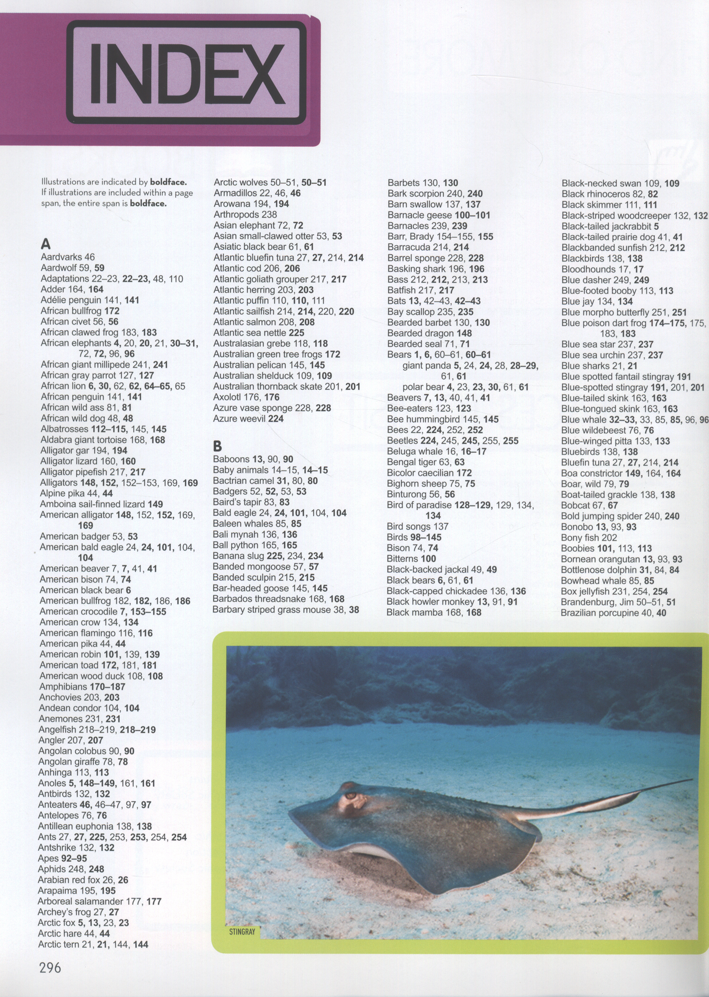 Animal encyclopedia : 2,500 animals with photos, maps, and more! by