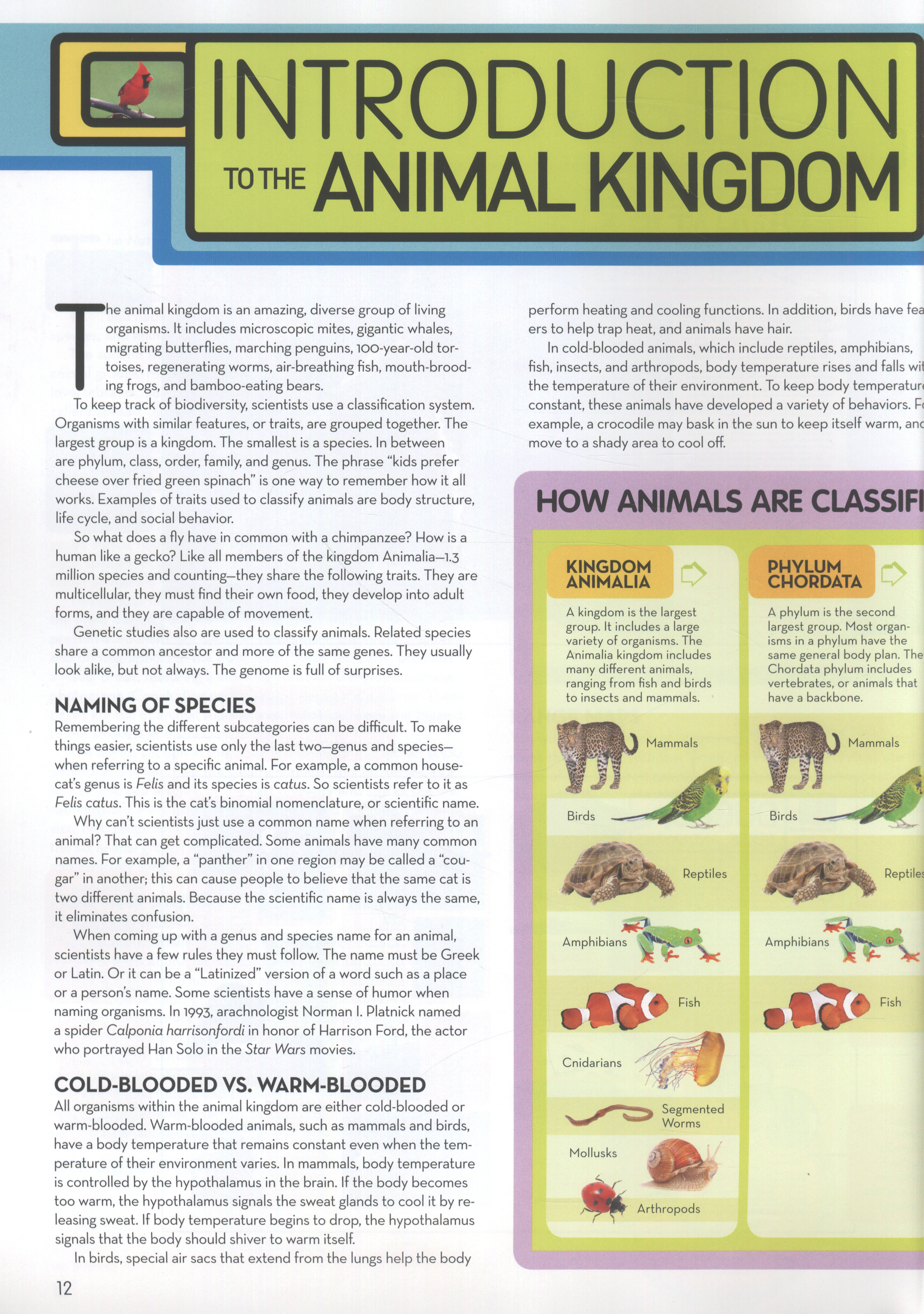 Animal encyclopedia : 2,500 animals with photos, maps, and more! by