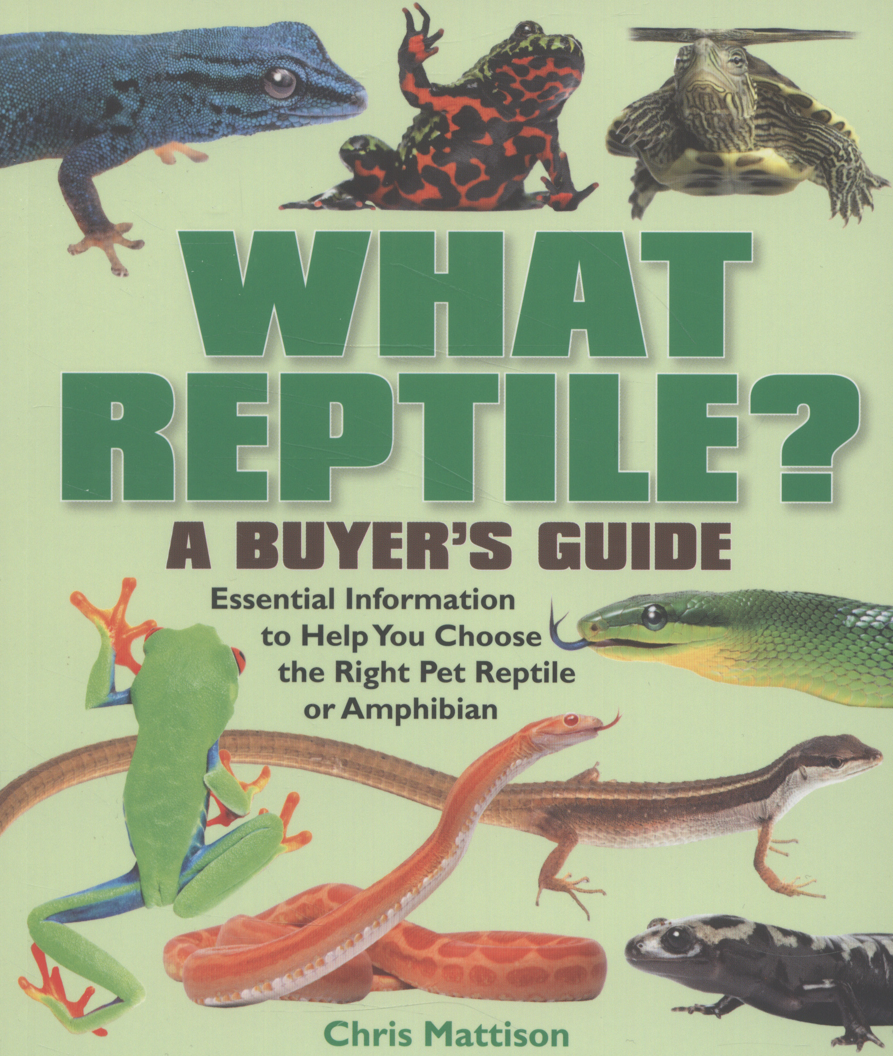 What reptile? essential information to help you choose the right pet