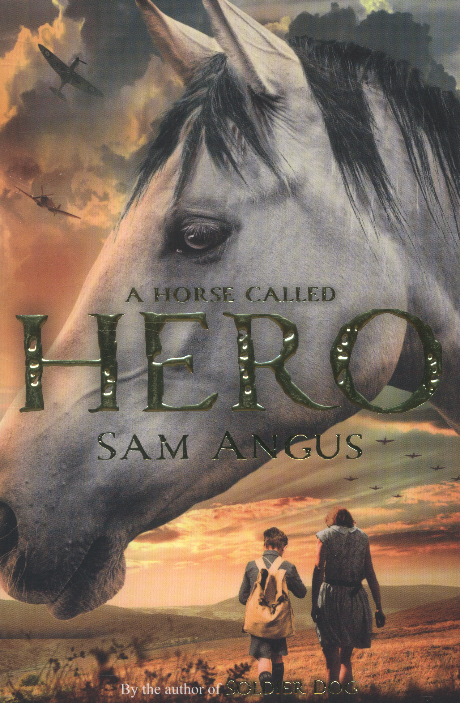 A horse called Hero by Angus, Sam (9781447235774) | BrownsBfS