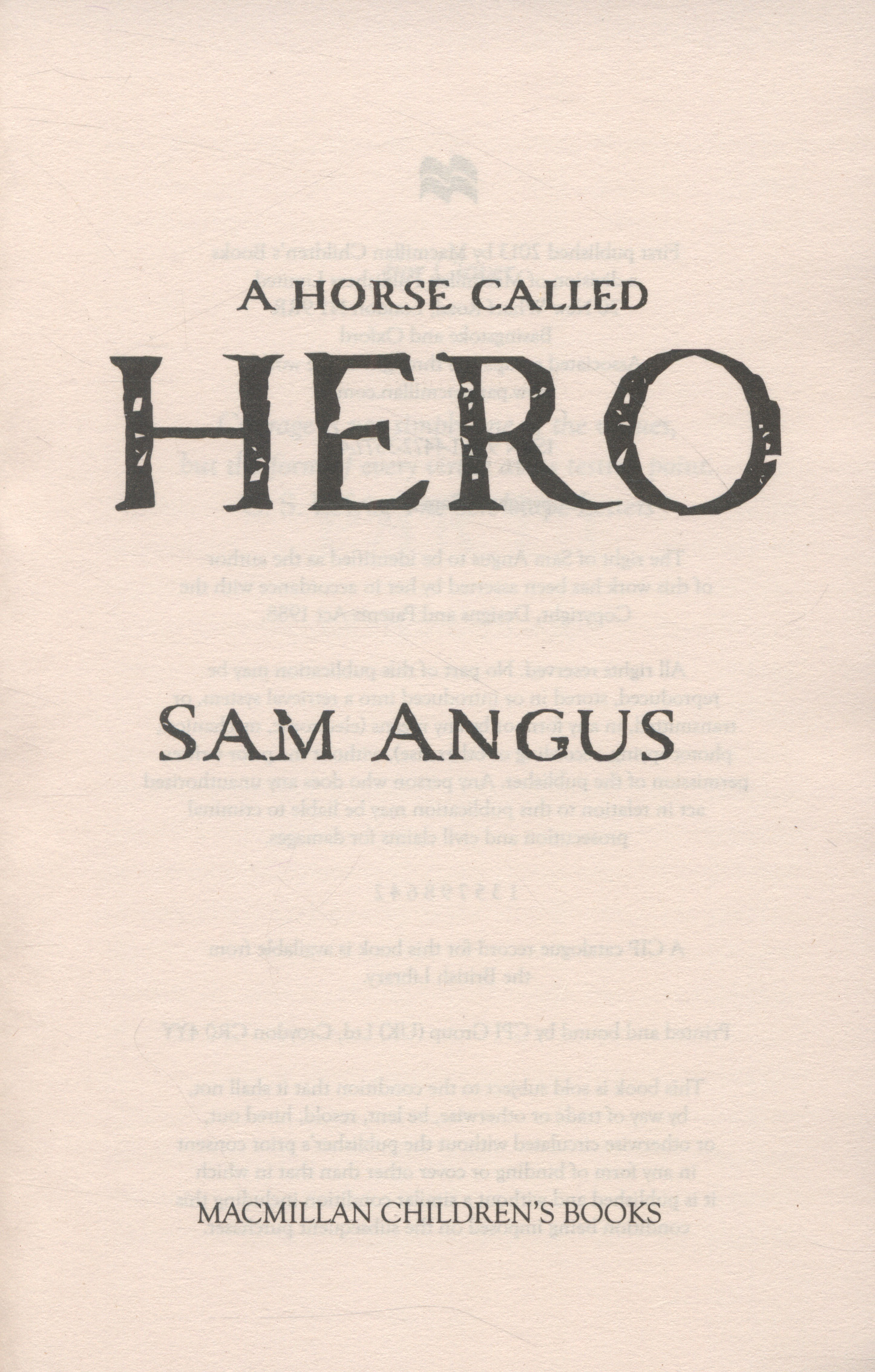 A horse called Hero by Angus, Sam (9781447235774) | BrownsBfS