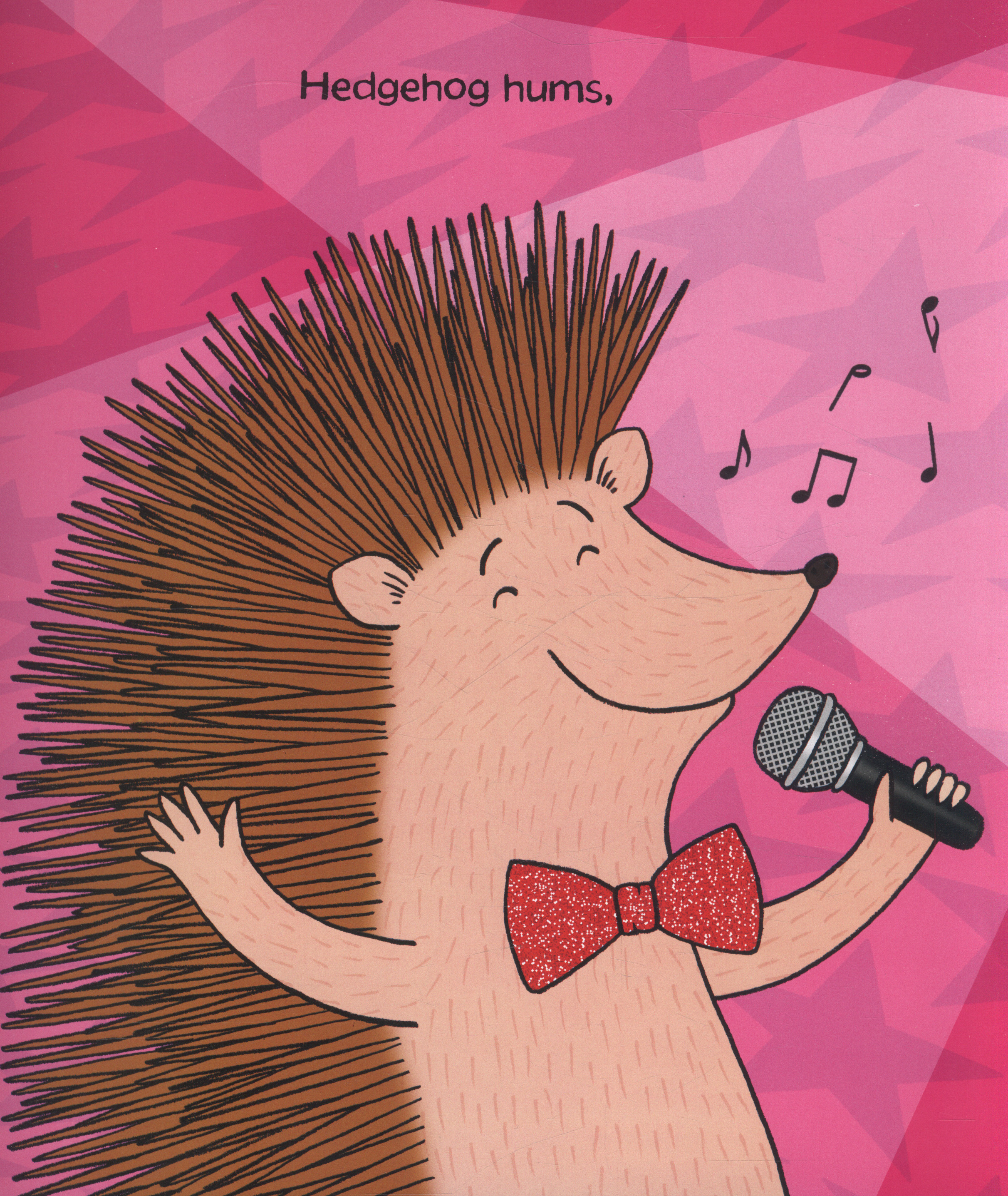 Animal music by Donaldson, Julia (9781447210955) BrownsBfS