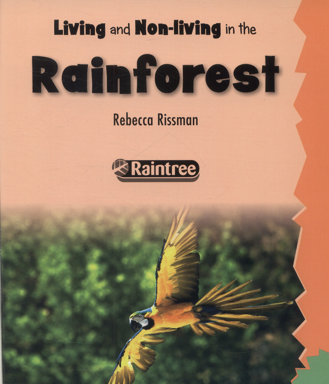 Living and nonliving in the rainforest by Rissman, Rebecca