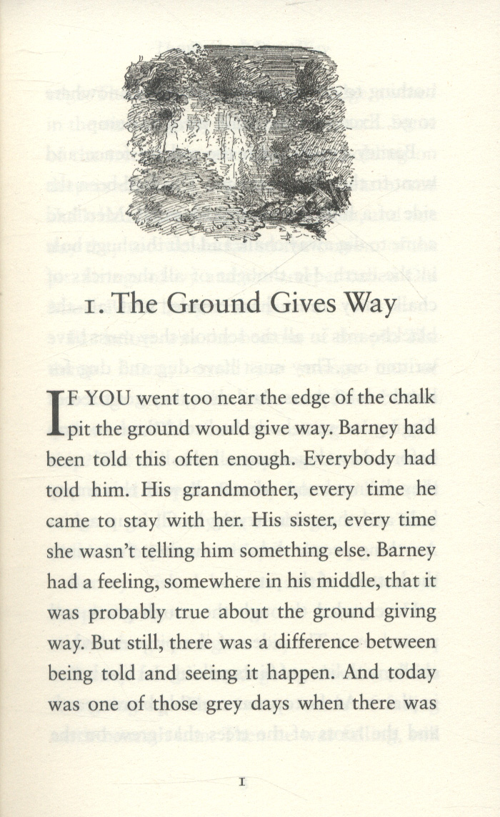 Stig of the dump by King, Clive (9780141354859) BrownsBfS