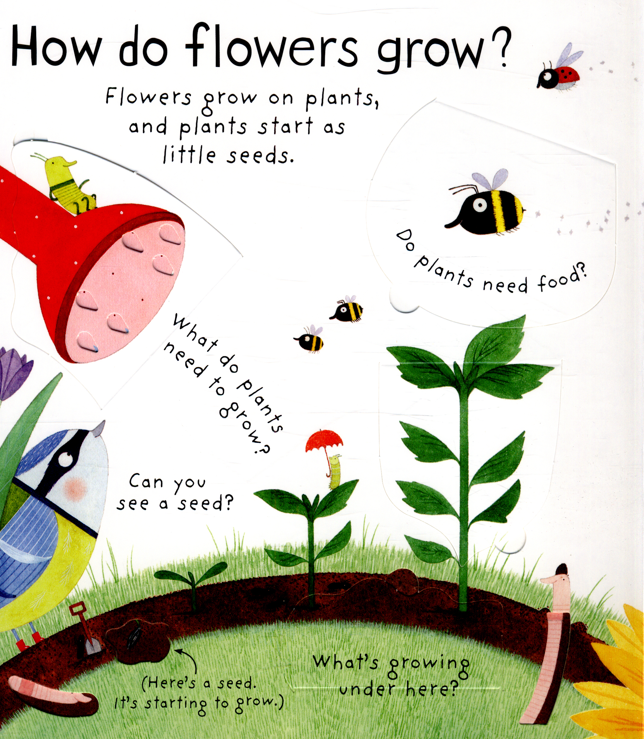 How do flowers grow? with lots of flaps to lift by