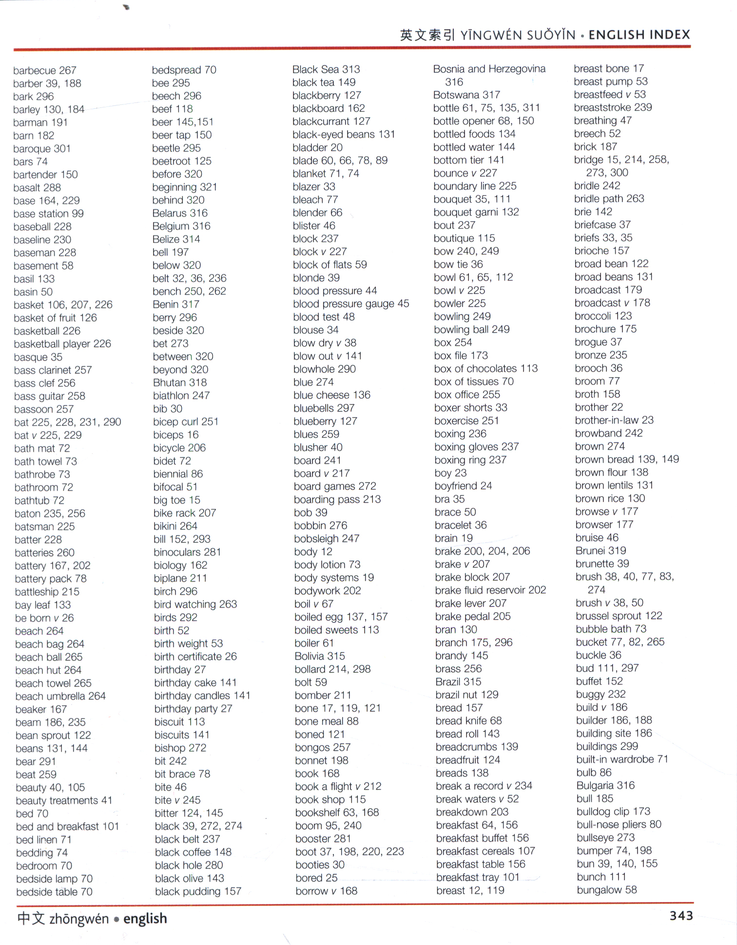 Mandarin Chinese English visual bilingual dictionary by DK (9780241199176) BrownsBfS