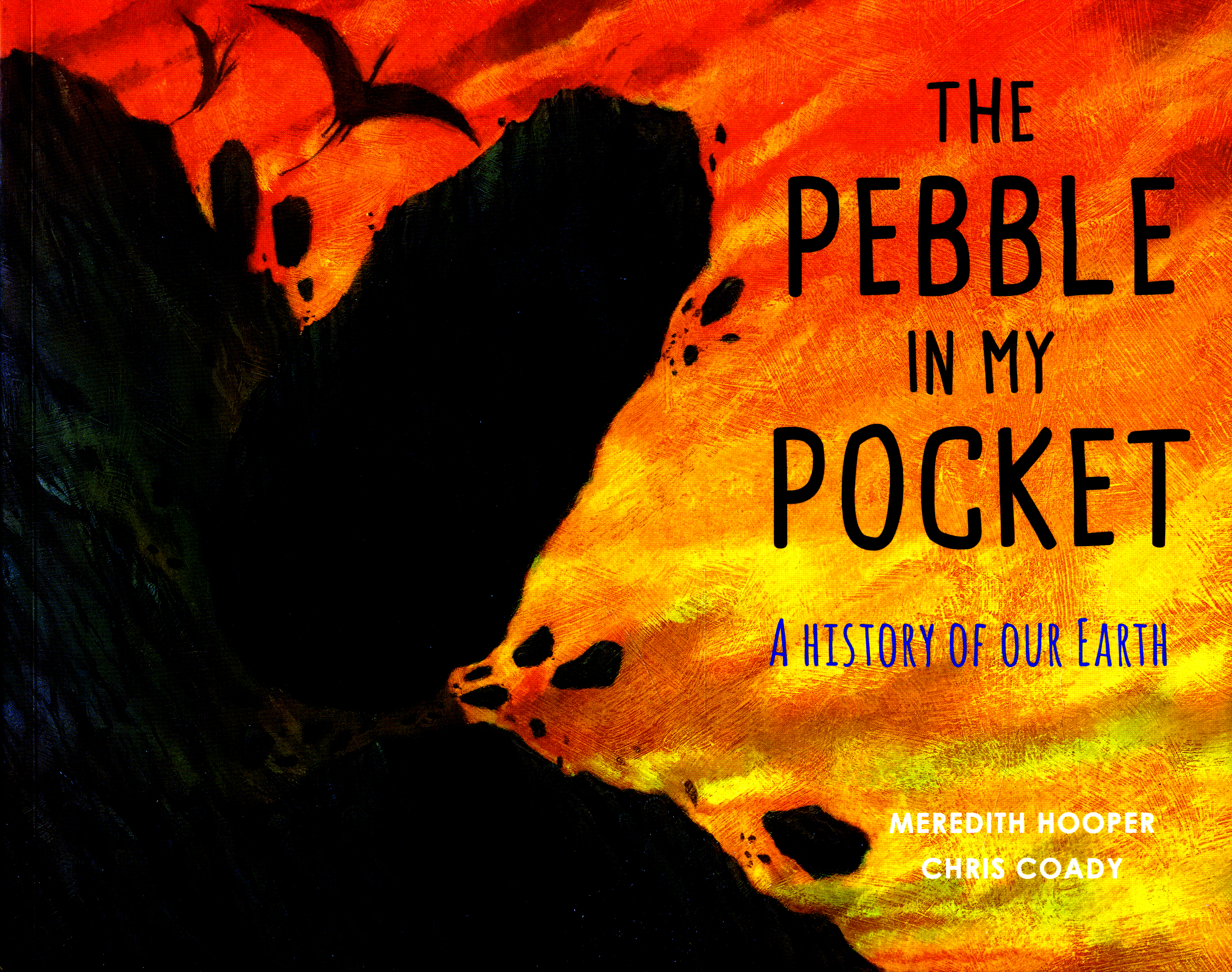 The Pebble In My Pocket A History Of Our Earth By Hooper Meredith Brownsbfs