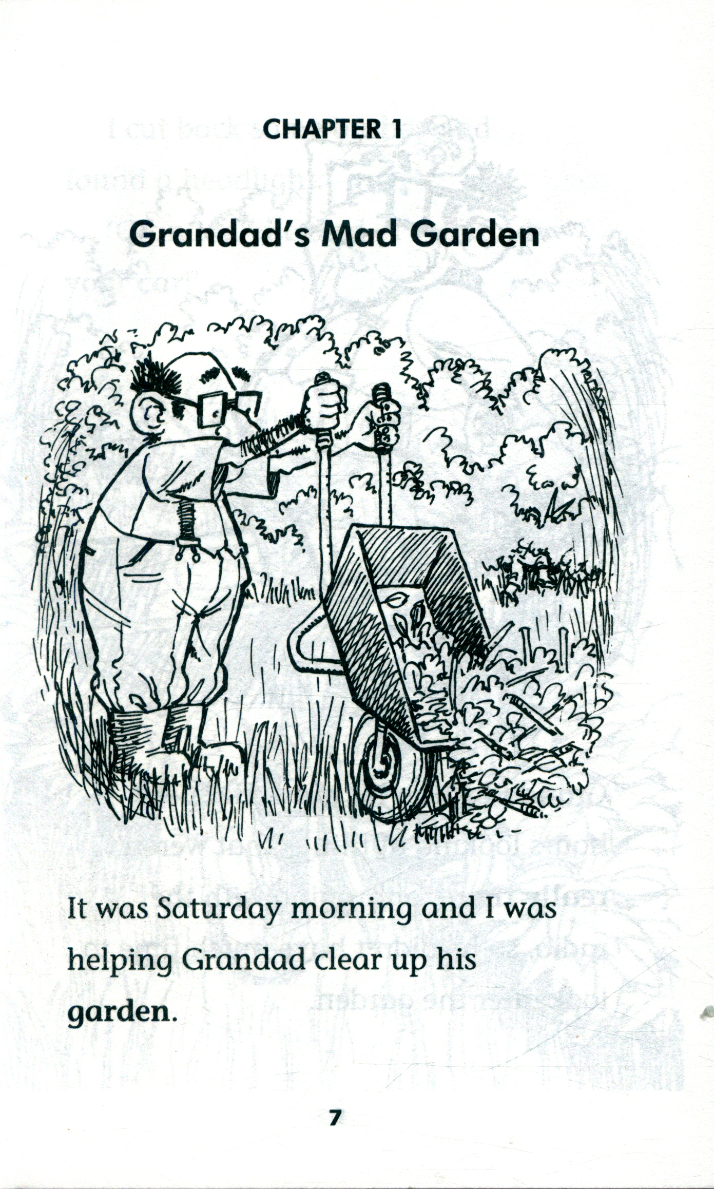 Mad Grandad And The Robot Garden By Mcgann Oisãin - 