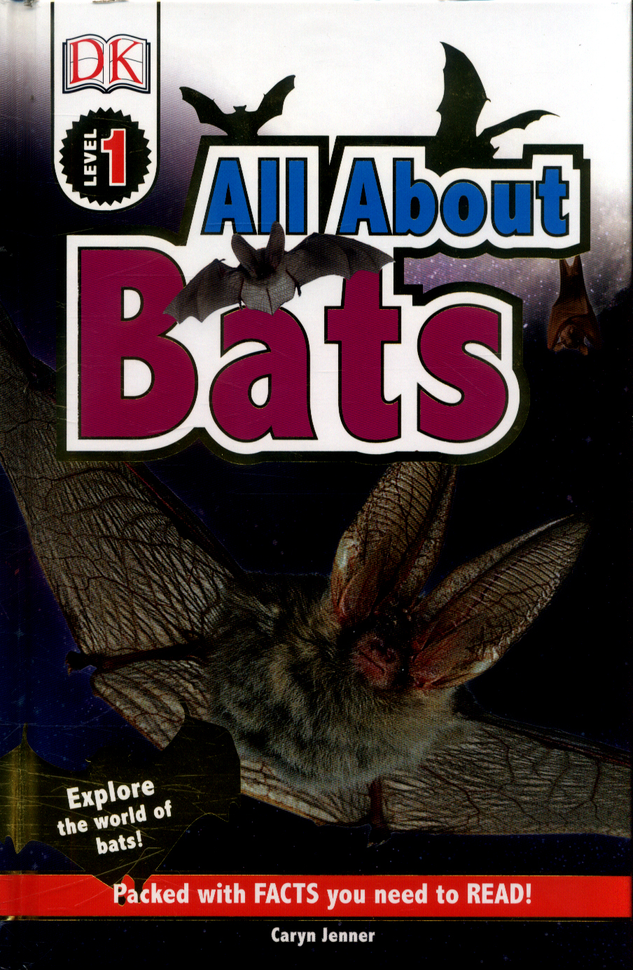 All about bats by DK (9780241282632) BrownsBfS