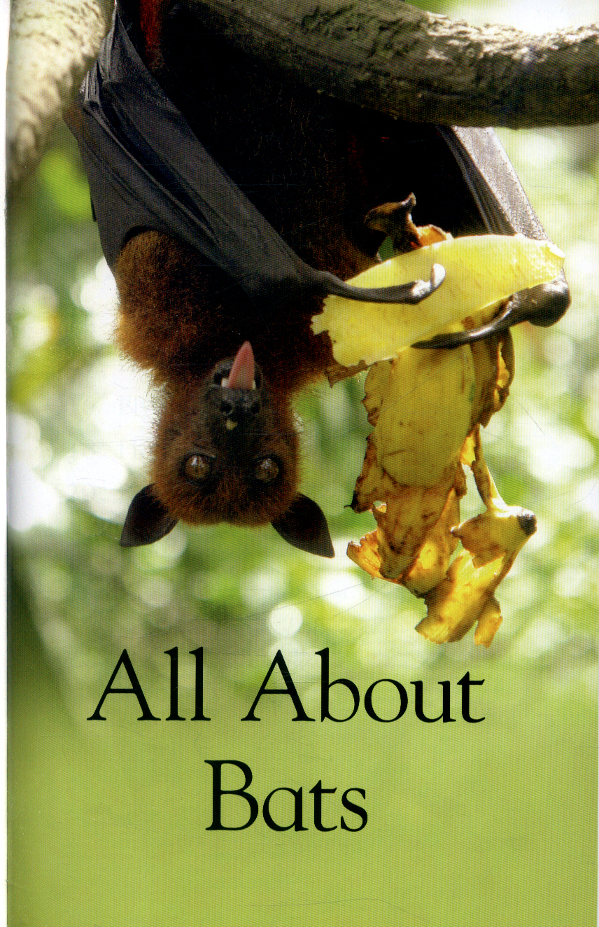 All about bats by DK (9780241282632) BrownsBfS