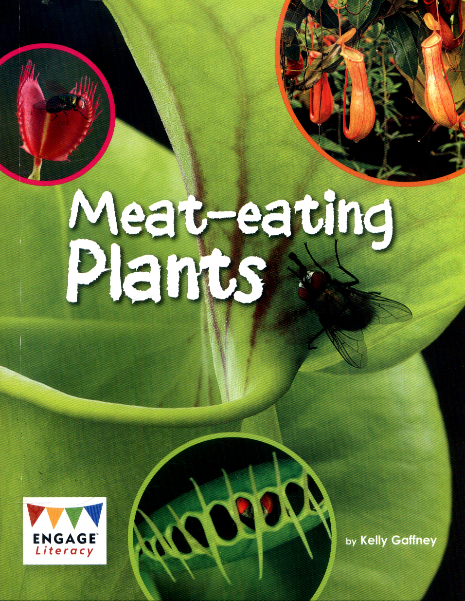 Meateating plants by GAFFNEY, KELLY (9781474739283) BrownsBfS