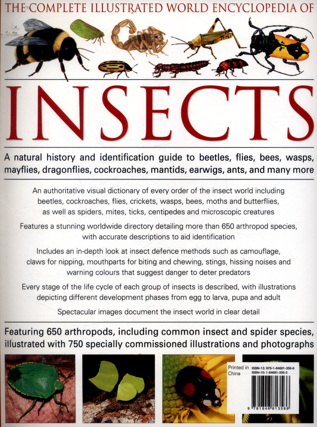 The complete illustrated world encyclopedia of insects : a natural ...