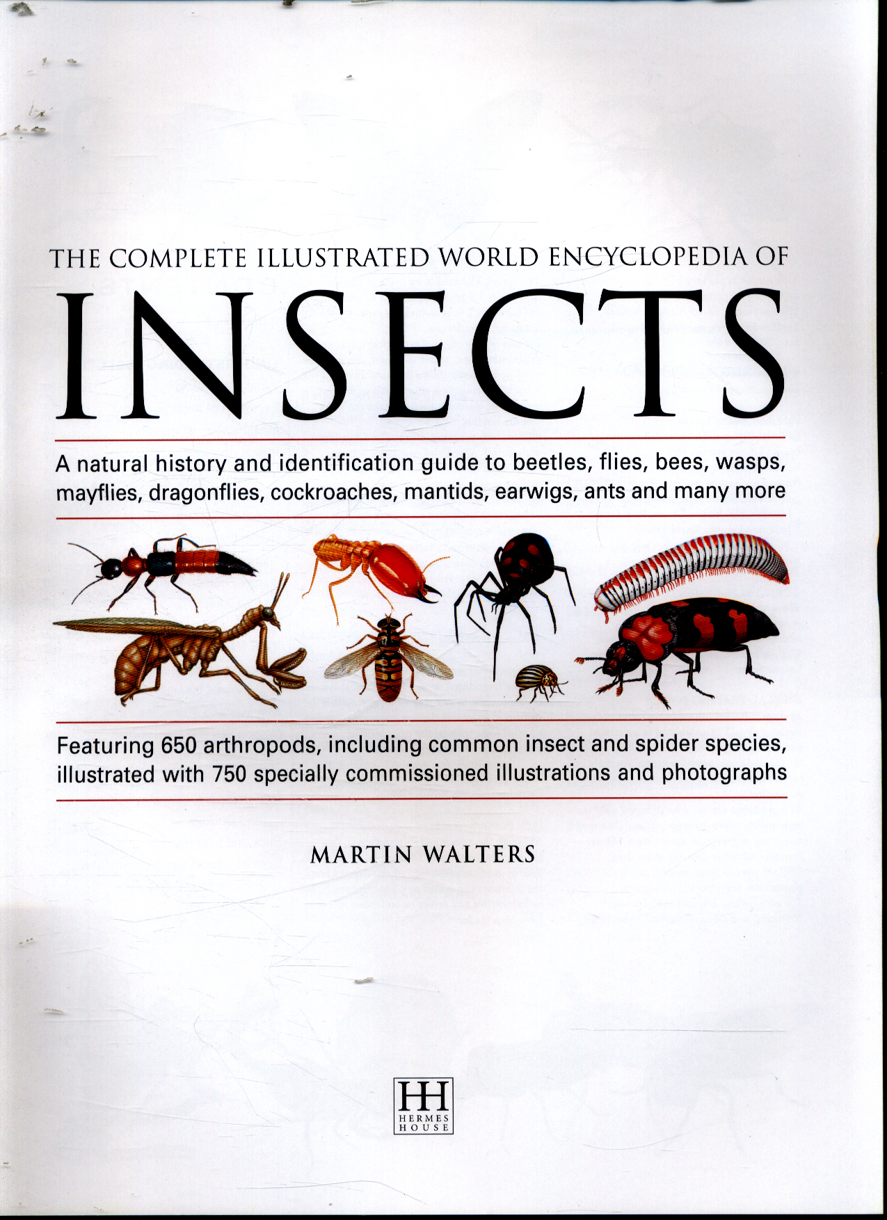 The Encyclopedia Of Insects , List of insects – BZZDA