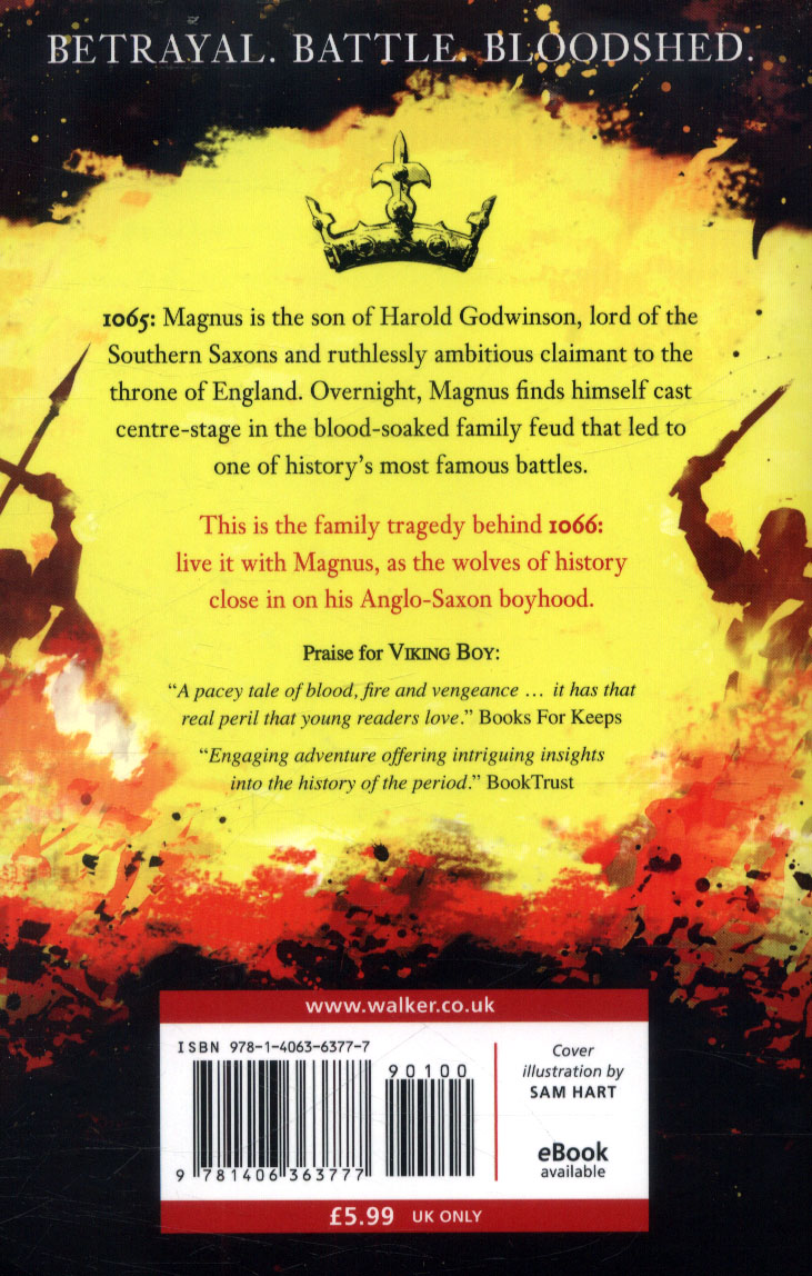 Anglo-Saxon boy by BRADMAN, TONY (9781406363777) | BrownsBfS