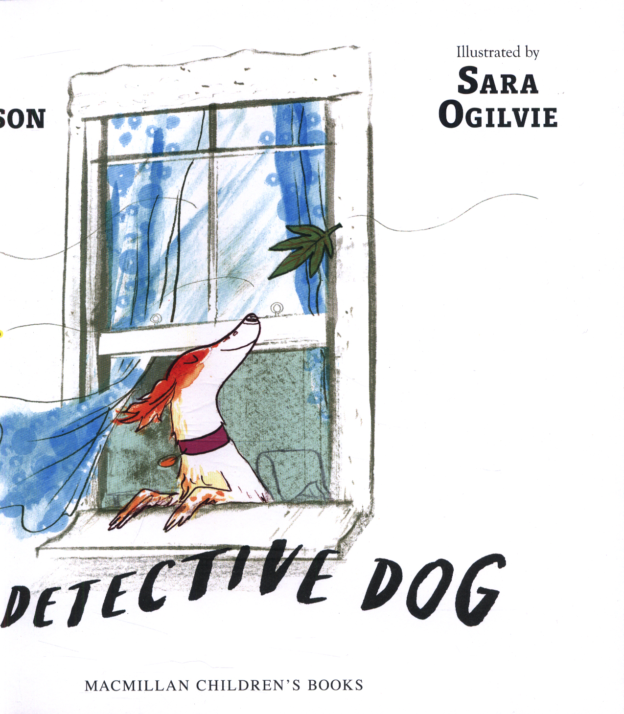 The detective dog by Donaldson, Julia (9781509801602) BrownsBfS