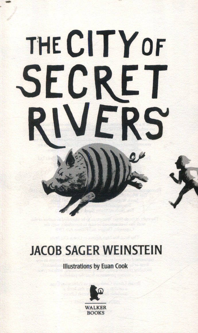 The City of Secret Rivers by Weinstein, Jacob Sager (9781406368857 ...