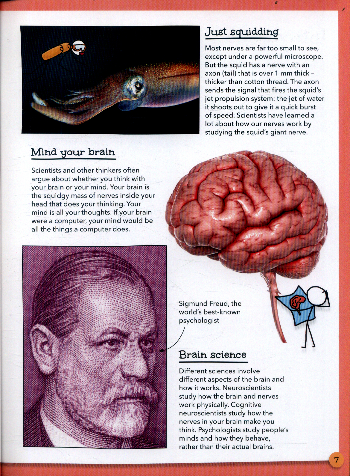 Stickmens Guide To Your Brilliant Brain By Farndon John - 
