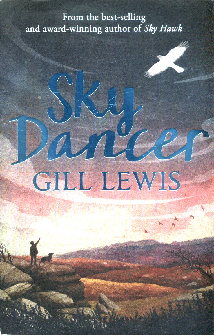 Sky dancer by Lewis, Gill (9780192749253) BrownsBfS