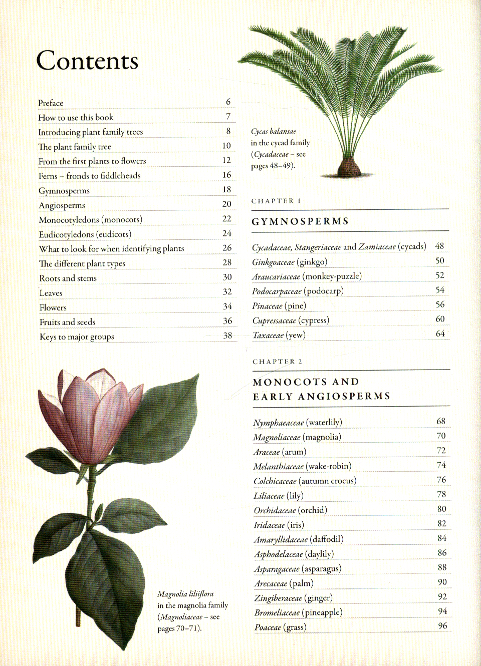 RHS Genealogy for Gardeners by Bayton, Dr Ross (9781784723804) | Browns ...