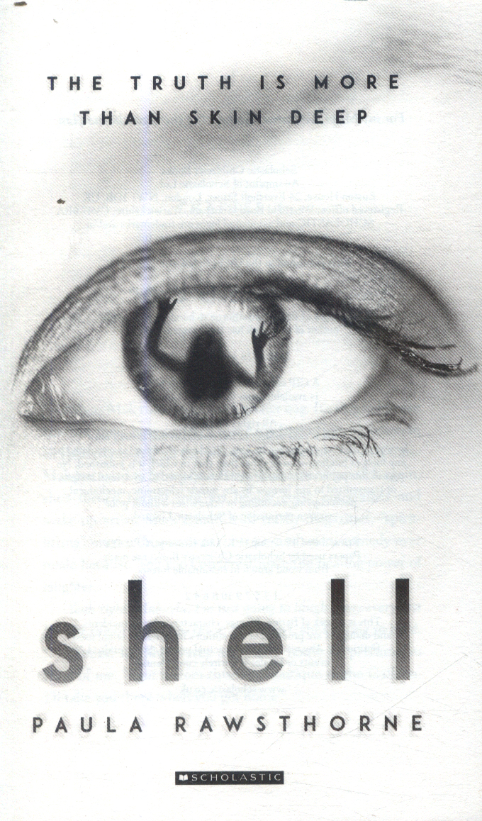 Shell by Rawsthorne, Paula (9781407180250) | Browns Books