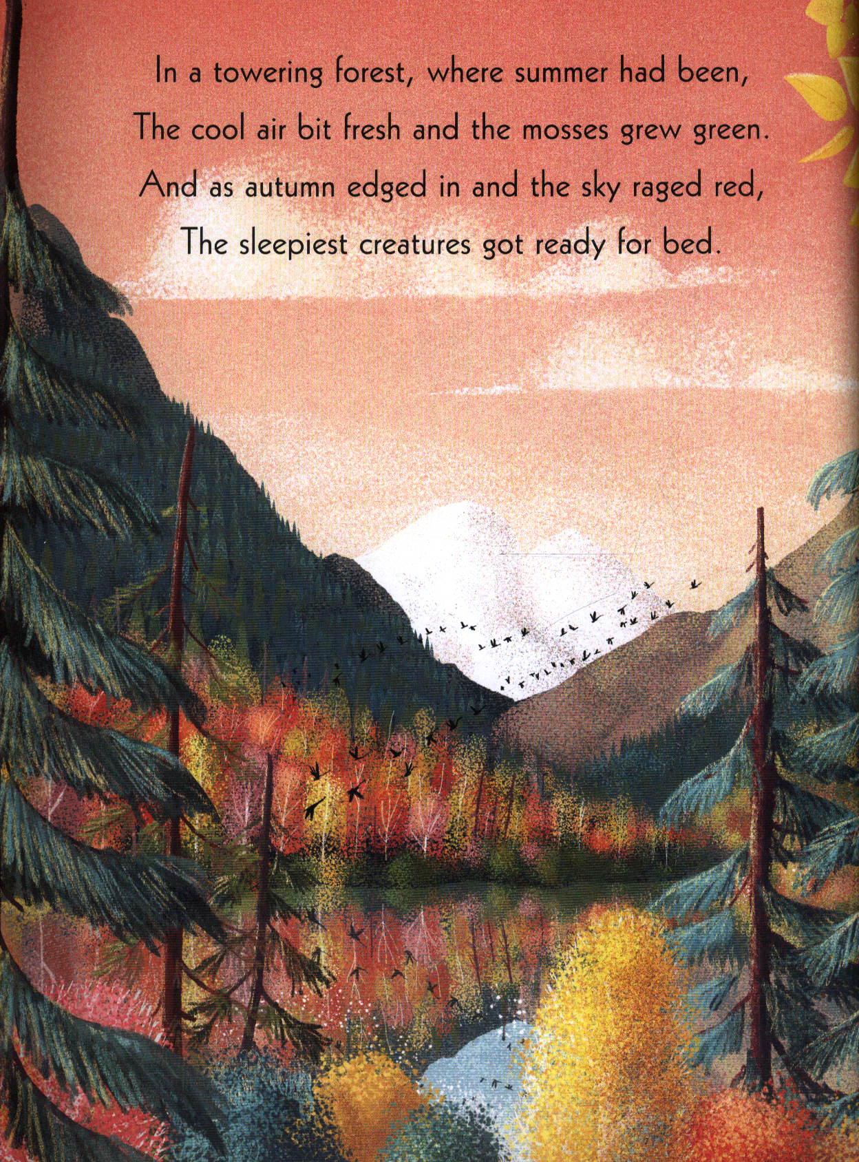 The squirrels who squabbled by Bright, Rachel (9781408340479) BrownsBfS