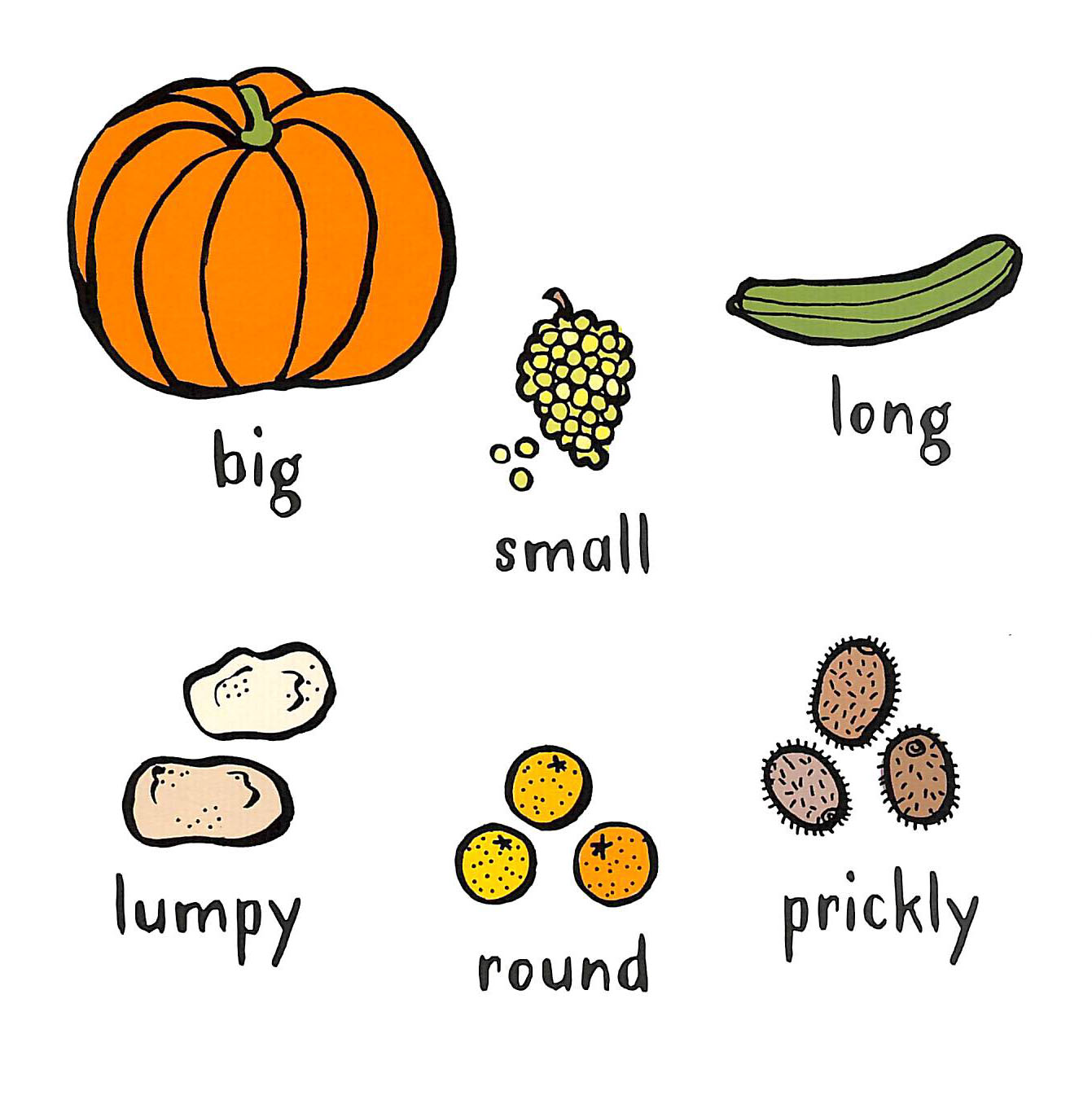 Time to eat by Tassoni, Penny (9781472964649) | BrownsBfS