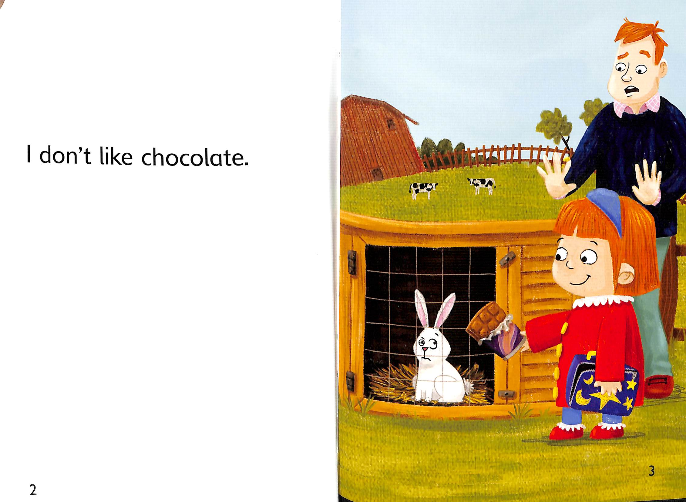 I don't like chocolate by Walter, Jackie (9781445167558) BrownsBfS