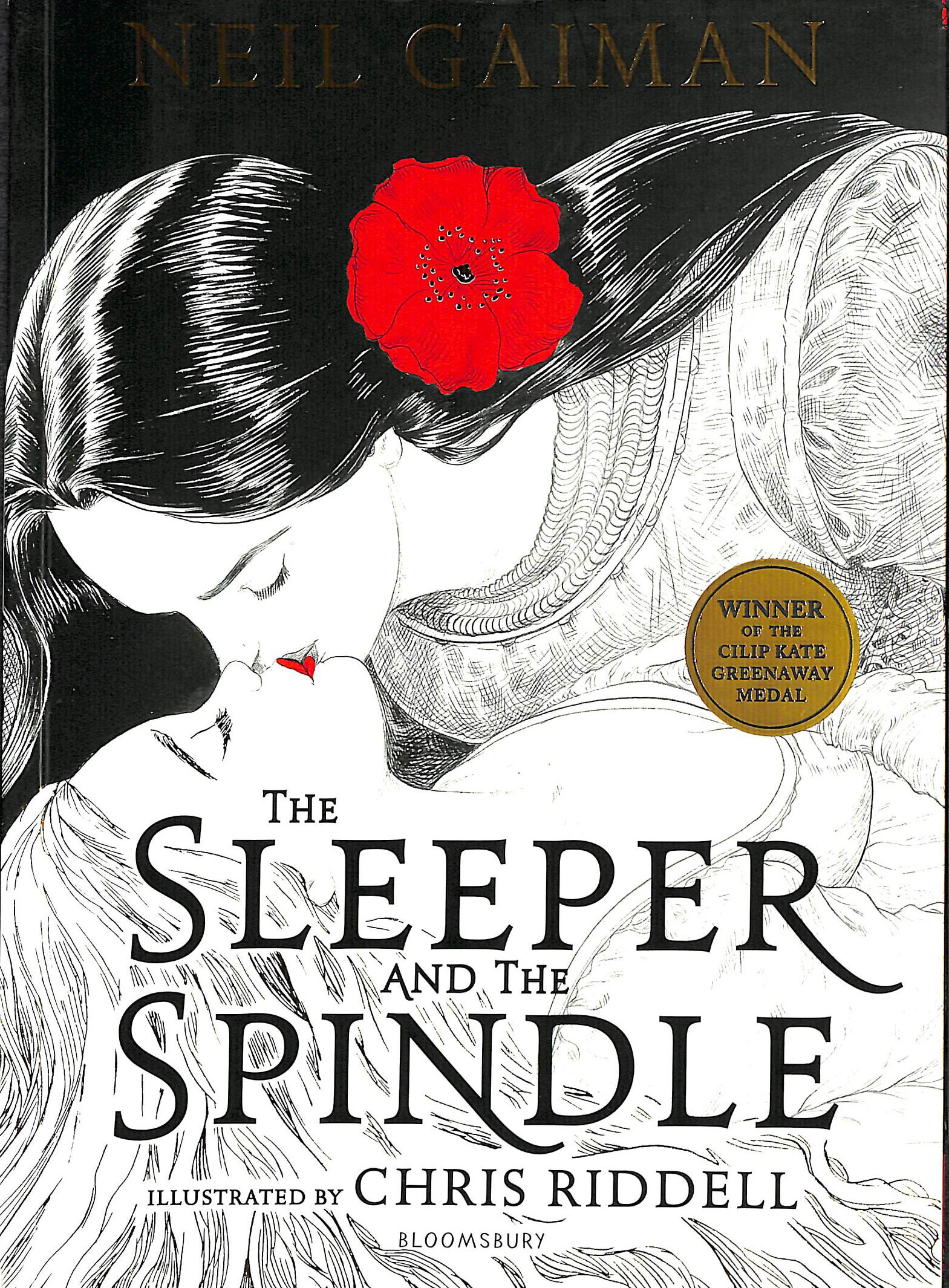 the sleeper and the spindle book the sleeper and the spindle book