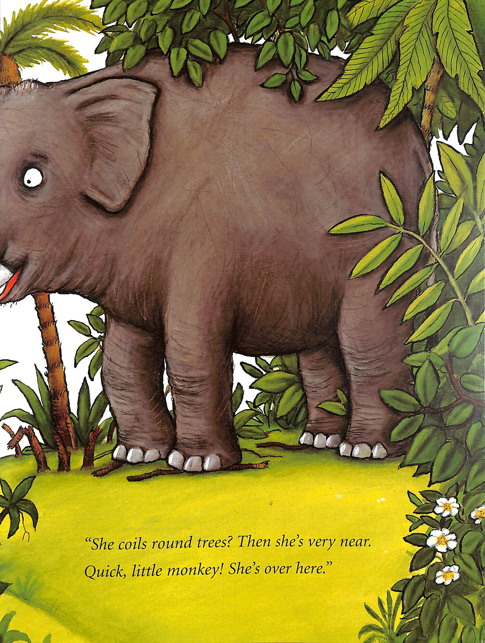 Monkey puzzle by Donaldson, Julia (9781529027785) BrownsBfS