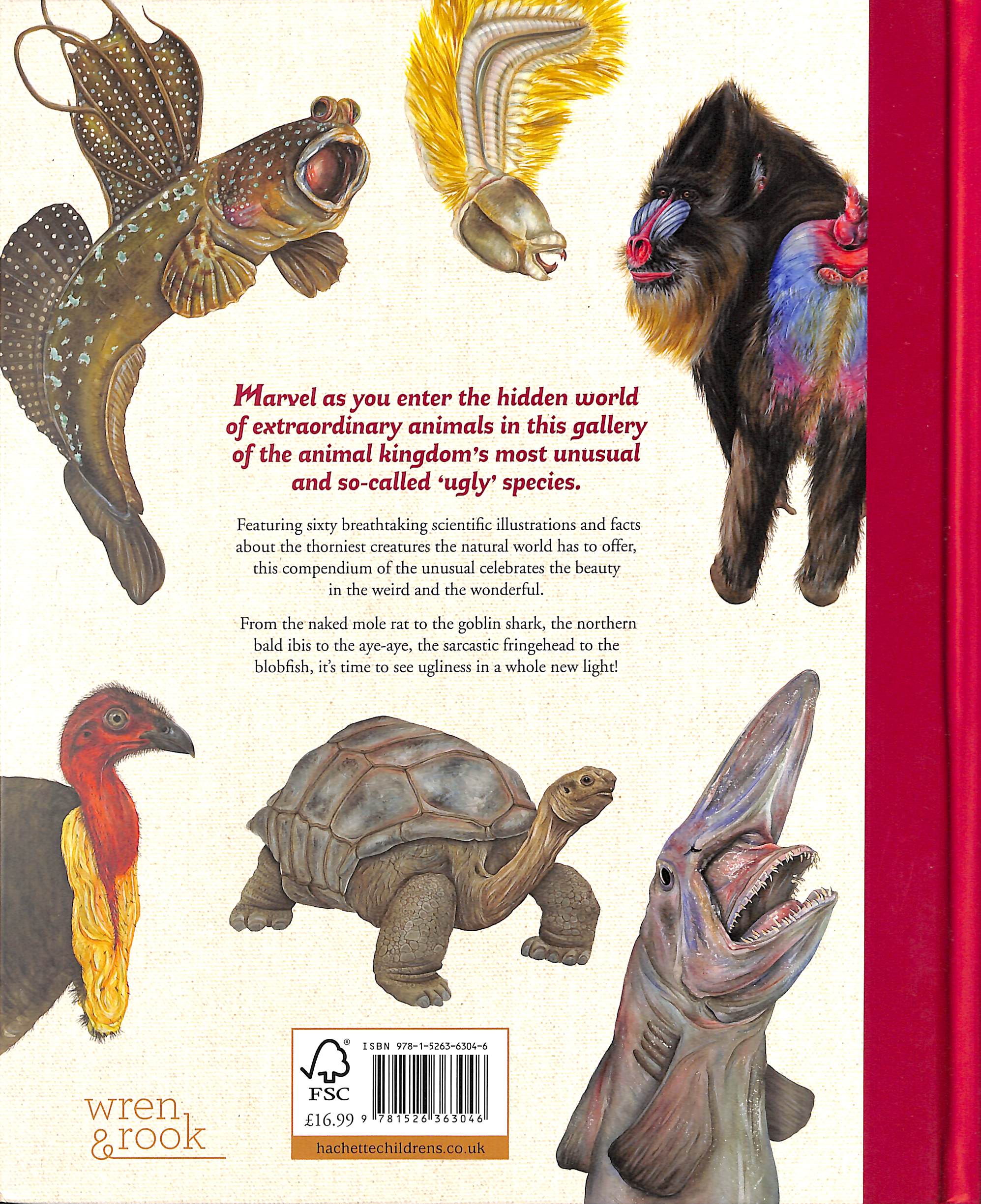 The illustrated encyclopaedia of ugly animals by BAYLY, SAMI