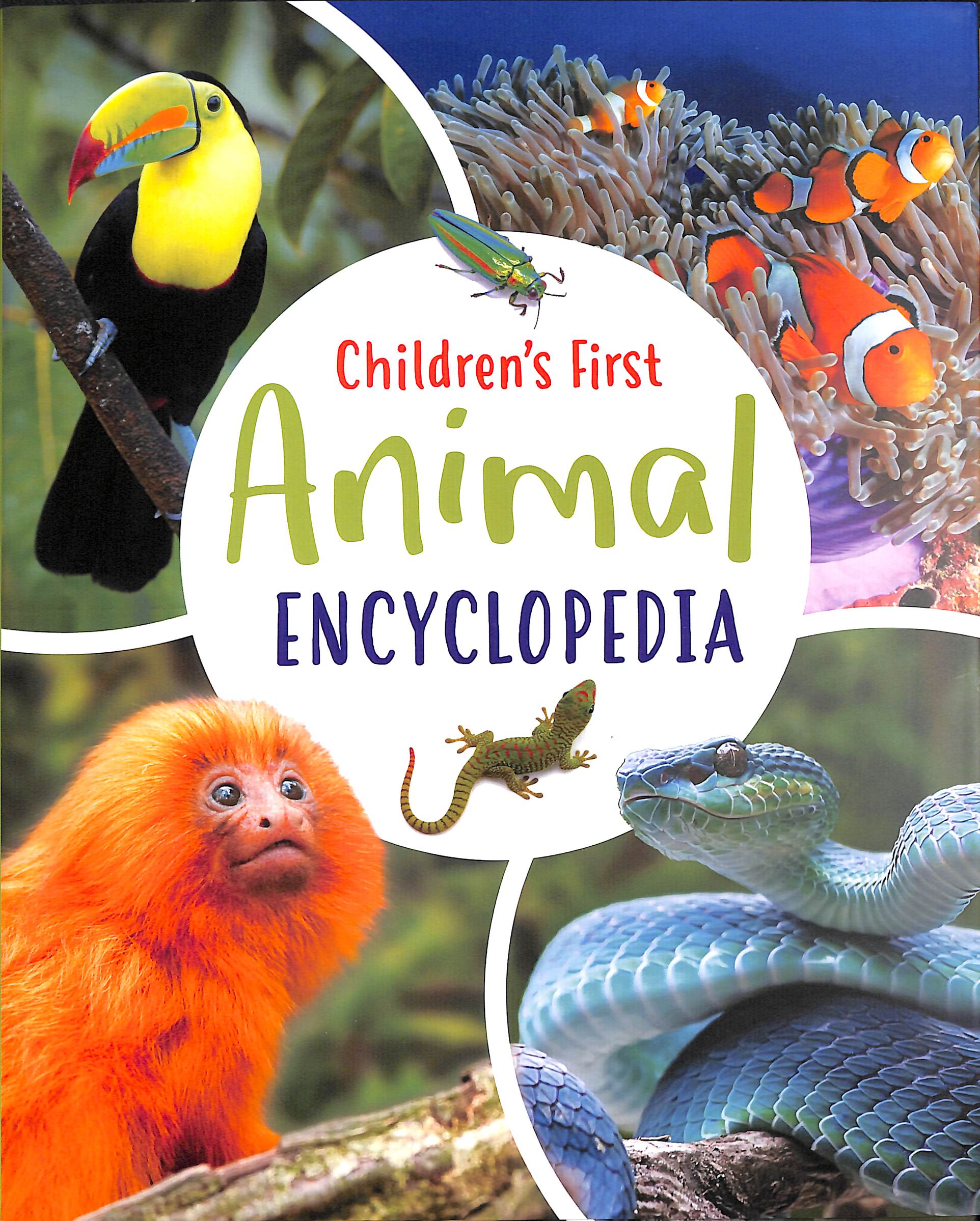 Children's first animal encyclopedia by Martin, Claudia (9781789506266