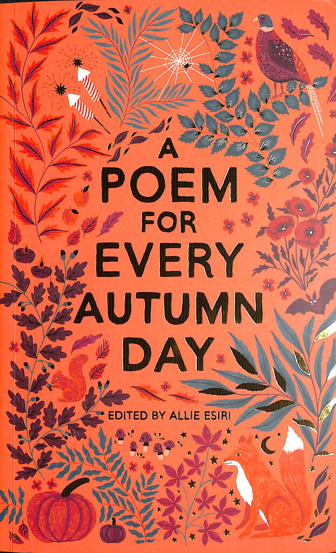 A poem for every autumn day by Esiri, Allie (9781529045222) BrownsBfS