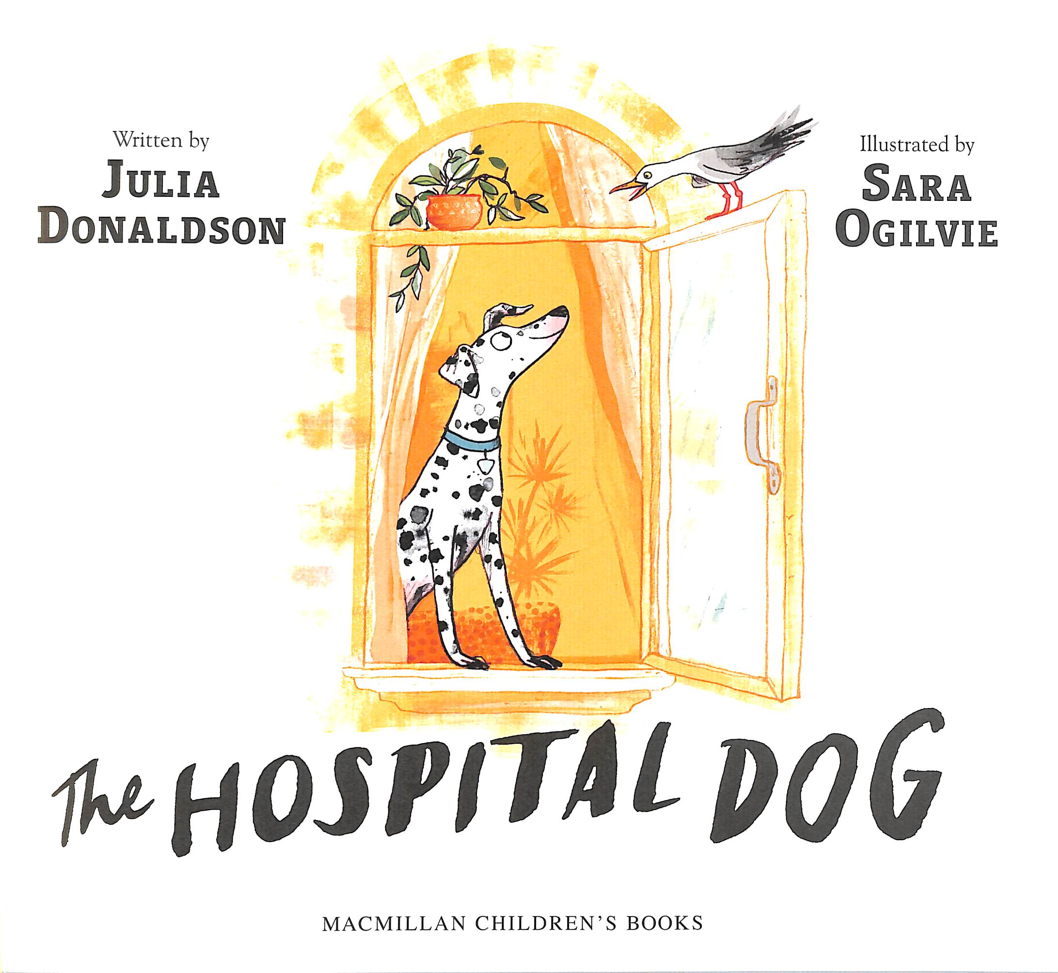 The hospital dog by Donaldson, Julia (9781509868315) BrownsBfS