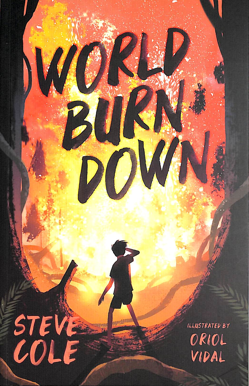 World burn down by Cole, Steve (9781781129463) BrownsBfS
