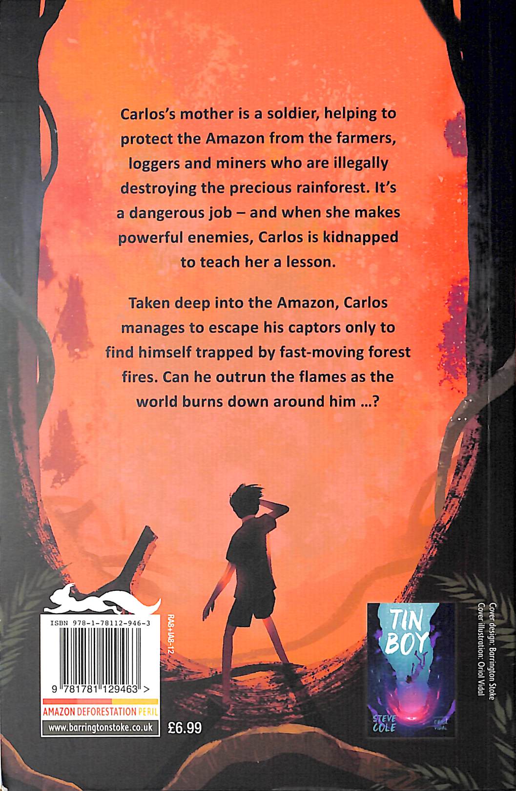 World burn down by Cole, Steve (9781781129463) BrownsBfS