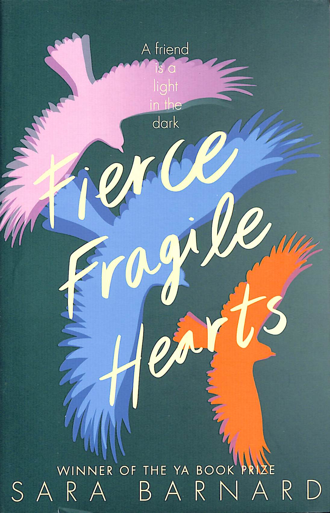 Fierce fragile hearts by Barnard, Sara (9781529037616) BrownsBfS